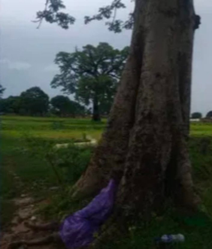खेत में मजदूरी करने आए थे आकाशीय बिजली की चपेट में आकर एक की मौत एक घायल…
