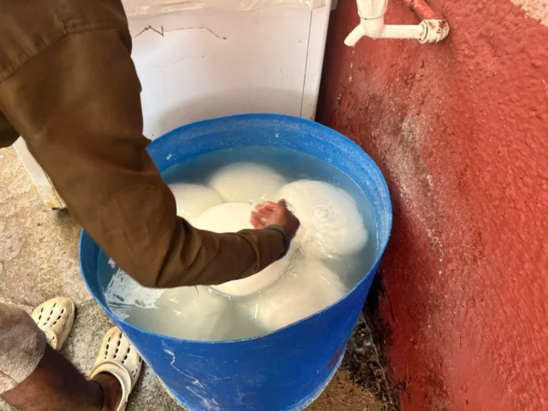 CG के फैक्ट्री में बन रहा था नकली पनीर, होटलों और ढाबों में होती थी सप्लाई, स्वास्थ्य और खाघ सुरक्षा विभाग ने मारा छापा…