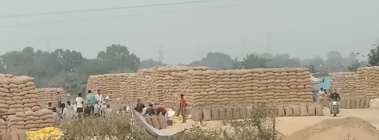 कलेक्टर की कार्रवाई के बावजूद नहीं थमी अनियमितता, धान उपार्जन केंद्र चिकनीपाली में किसानों के हक पर सवाल